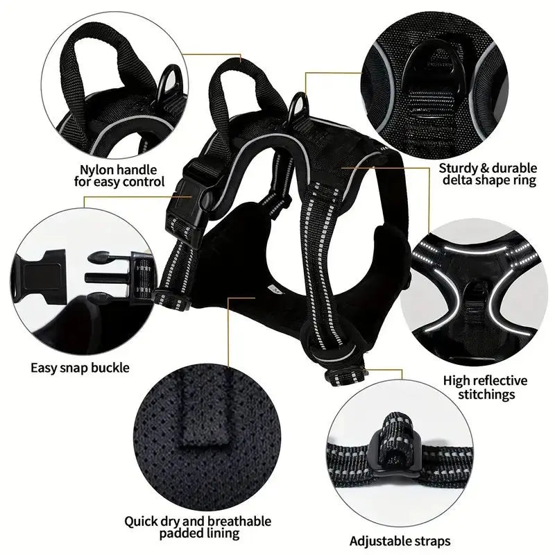 TugTail VentureFit Harness & Leash Set