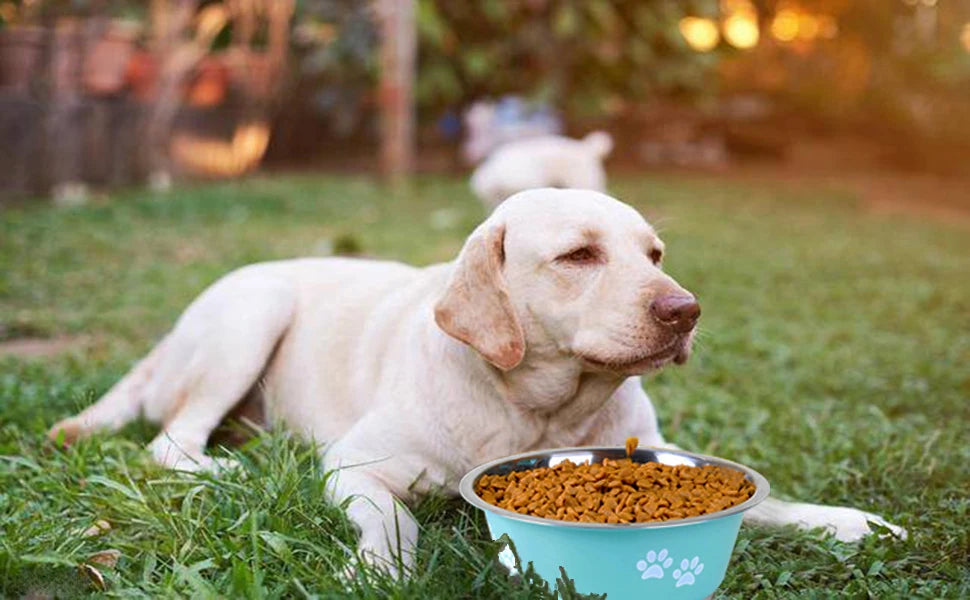 TugTail Stainless Steel Food/Water Bowl