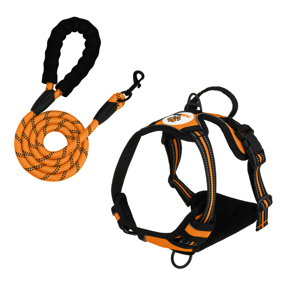 TugTail Harness & Leash Set - Orange