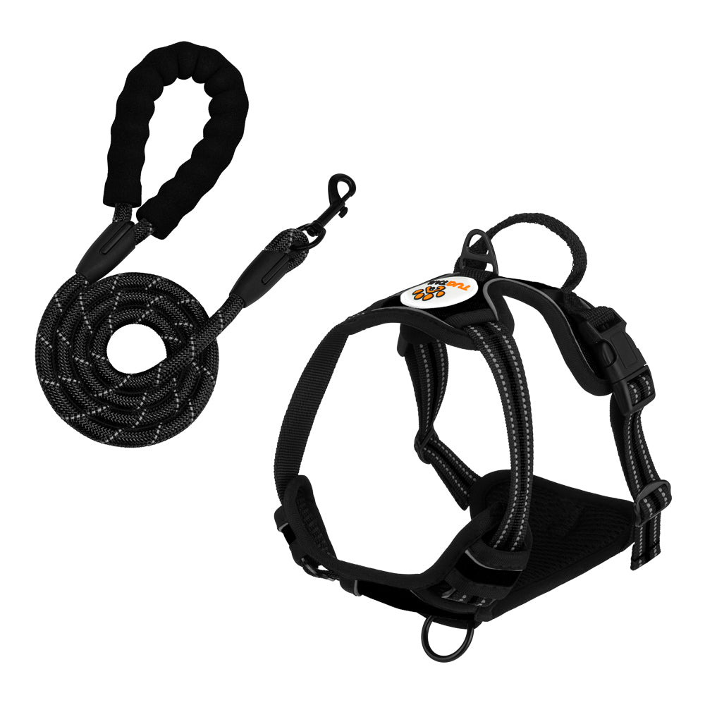 TugTail Harness & Leash Set - Black