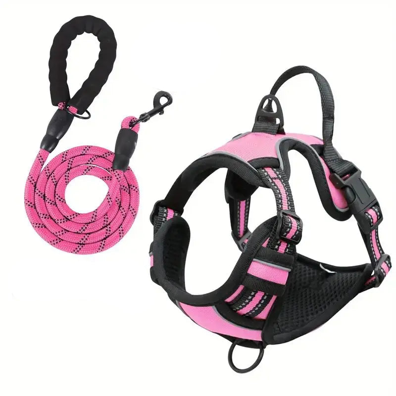 TugTail Adjustable Harness with Leash
