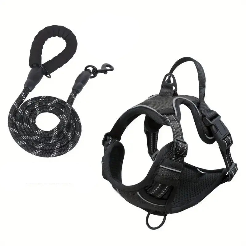 TugTail Adjustable Harness with Leash