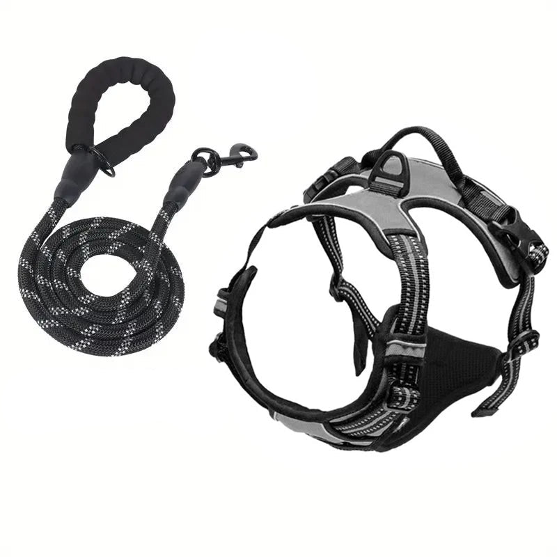TugTail Adjustable Harness with Leash