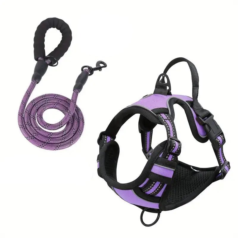 TugTail Adjustable Harness with Leash