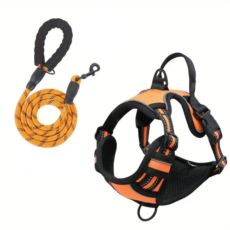 TugTail Adjustable Harness with Leash