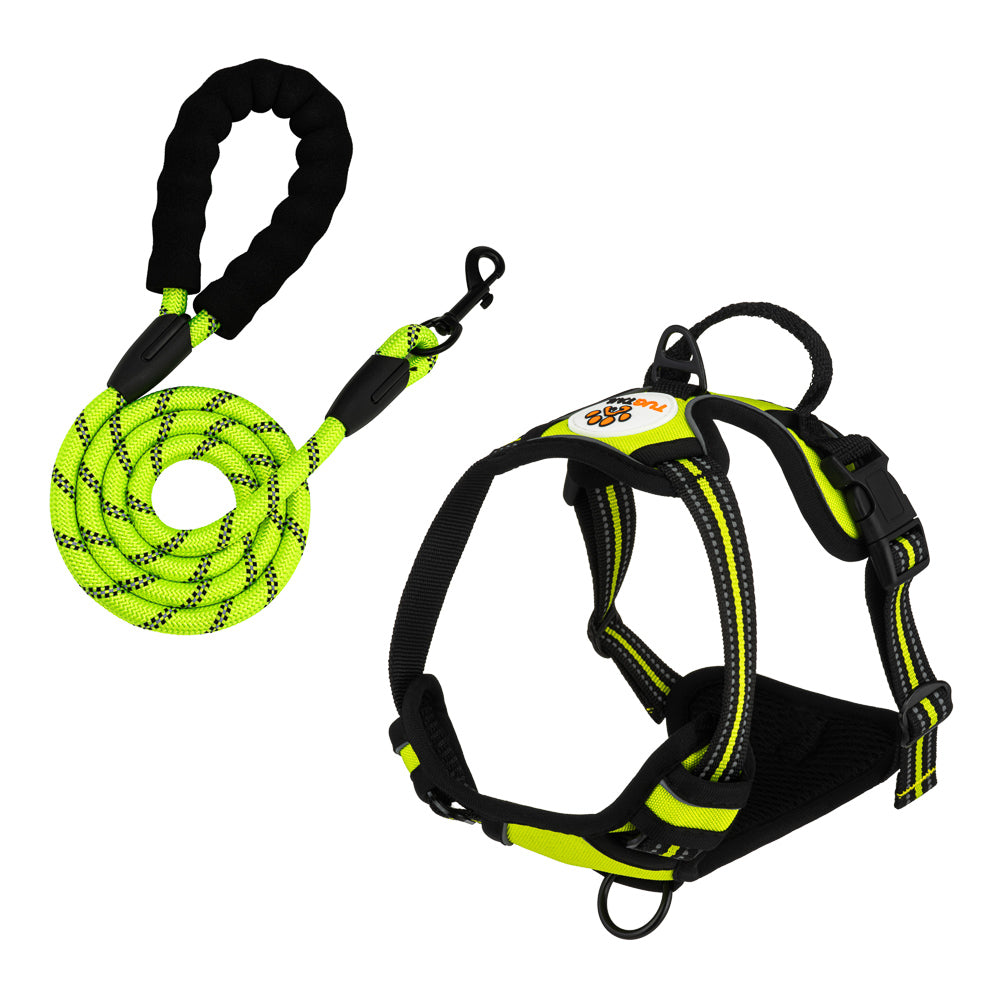 TugTail Harness & Leash Set - Green