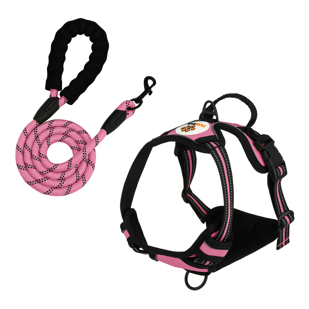 TugTail Harness & Leash Set - Pink