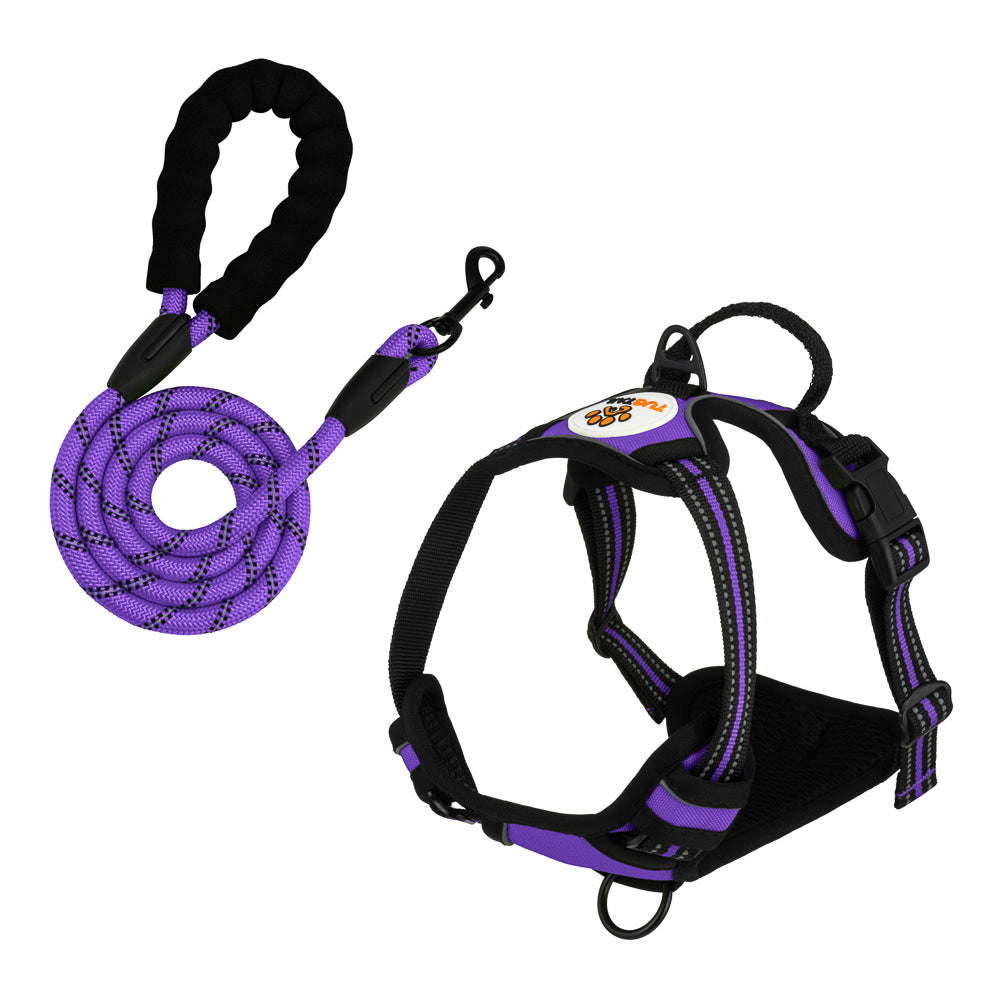 TugTail Harness & Leash Set - Purple
