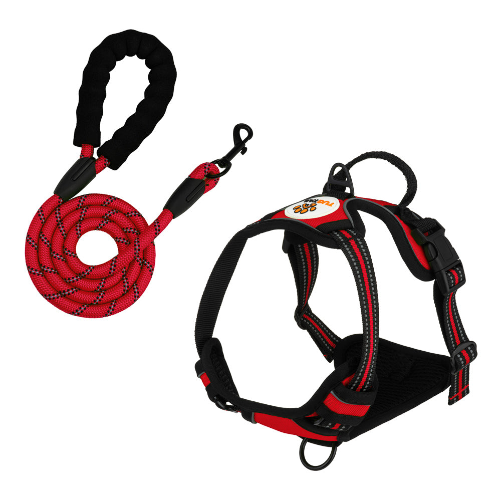 TugTail Harness & Leash Set- Red