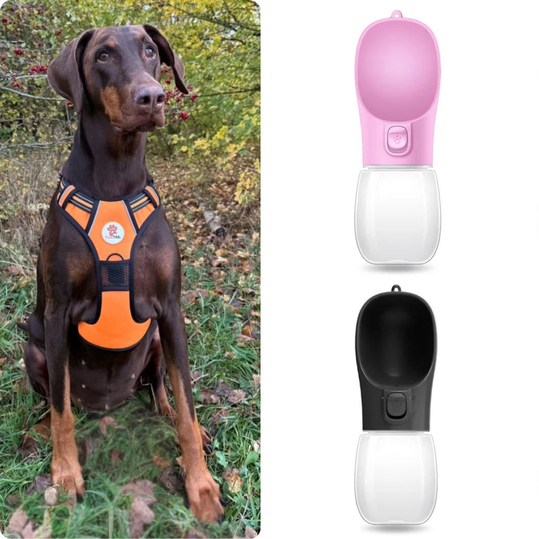 Black Friday Exclusive: TugTail Harness & Leash Set with Portable Water Bottle